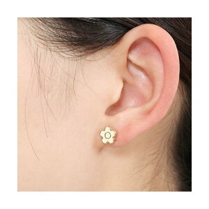 }[Ng MARY QUANT ~jfCW[G| sAX izCgj