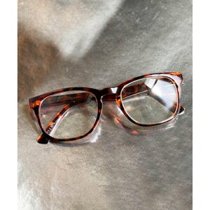 OX JUGLANS JUGLANS NAYTOX ɒBKl P[Xt i45j