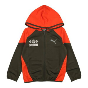 v[} PUMA WjA W[WWPbg ACTIVE SPORTS | tWbvt[fbhWPbg_ 684016 i_[N I[uj