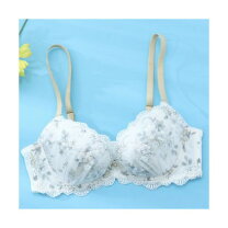 楽天市場】ハラークイン ブラジャーの通販