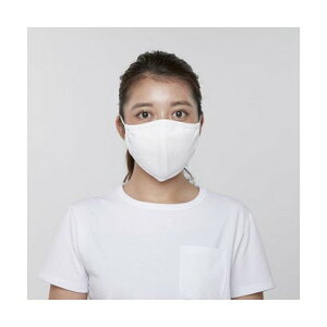 oPX^ VACASTA yE.T.CzAWX^[t}XN iItzCgj