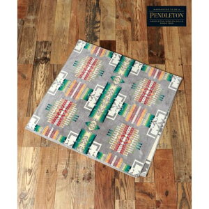 }J MARUKAWA yPENDLETON/yhgzWK[h oX^I/XB218 ^I C v[ W[ Mtg 蕨 v[g Y fB[X Ce i~fBAO[j