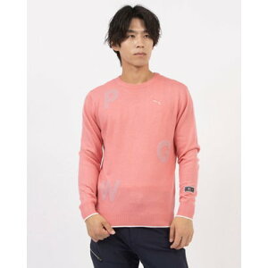 v[} PUMA St PGWSN[lbNjbgZ[^[