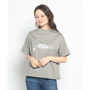 }KV[N MAGASEEK salad iJ[Lj