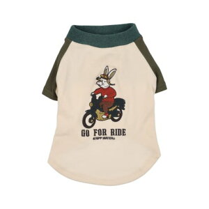 Nt C[ KRIFF MAYER ̂TVcioCNjyԕisiz iMULTI-COLj