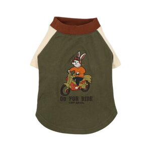 Nt C[ KRIFF MAYER ̂TVcioCNjyԕisiz iKHAKIj