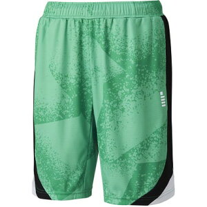 S[Z GOSEN GOSEN S[Z ejX n[tpc PP2400 iO[j