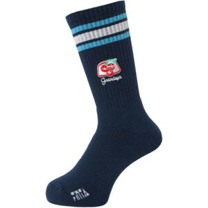 tB^ FINTA FINTA tB^ TbJ[ GDZ XgCv~h\bNX FT4360 ilCr[j