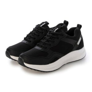 S[fxA GoldenBear fB[XLXj[J[ iubNj