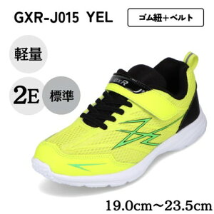 bVjOV[Y GXR GXR-J015