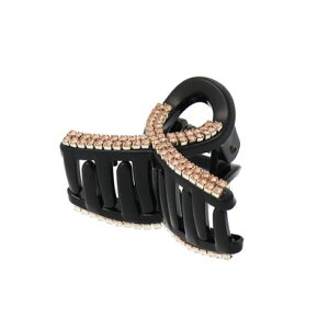 rr BIBI ~joXNbv (wANbv) iCgs[`^ubNj