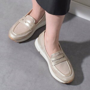 u\ bussola [t@[Xj[J[ iS[hGށj