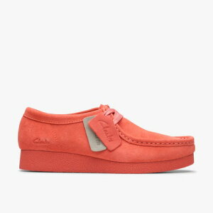 WallabeeEVOSh / r[GHV[Y iR[XG[hj