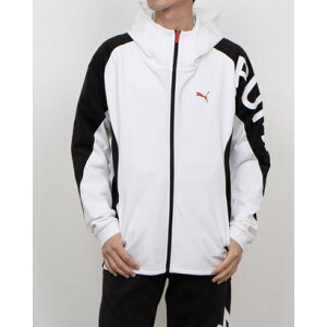 v[} PUMA Y jbgWPbg TAD jbgWPbg_ 527046 iPUMA Whitej