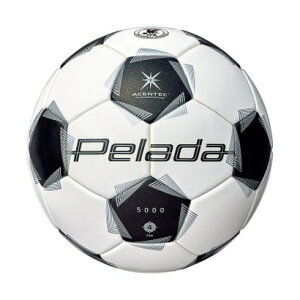 e molten e molten TbJ[ y[_ 5000 LbY 4  F4K5000 iXm[zCgp[j