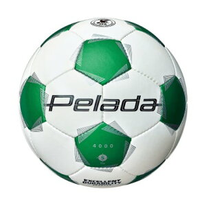 e molten e molten TbJ[ y[_ 4000 5   F5K4000WG izCgj