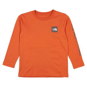 UEm[XEtFCX THE NORTH FACE WjA AEghA TVc T L/S SleeveGraphicT_gh[OX[uX[uOtBbNeB[(LbY) NTT32537 iACAuYj