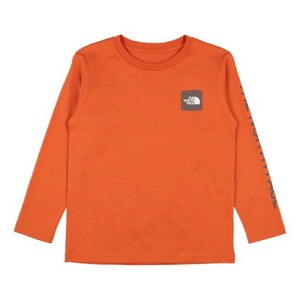 UEm[XEtFCX THE NORTH FACE WjA AEghA TVc L/S Sleeve Graphic Tee_OX[uX[uOtBbNeB[(LbY) NTJ32537 iACAuYj