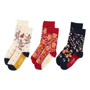 �z�u�Y HOBBS BUTTERFLY SOCK SET �iMULTI�j