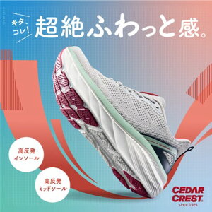 Z_[NXg CEDAR CREST NbV\[Xj[J[ iNV/REDj