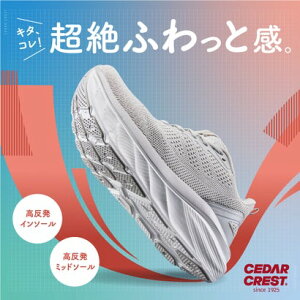 Z_[NXg CEDAR CREST NbV\[Xj[J[ iNV/PNKj