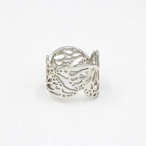 AK^ p AGATHA PARIS psIOAChAVo[ iVo[j