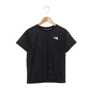 UEm[XEtFCX THE NORTH FACE WjA AEghA TVc S/S Big Root Tee_V[gX[urbO[geB[(LbY) NTJ32578 iubNj