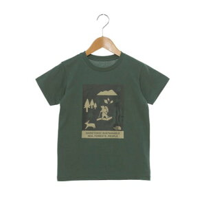 UEm[XEtFCX THE NORTH FACE WjA AEghA TVc S/S Shiretoko Toko Tee_V[gX[uVgRgReB[(LbY) NTJ32534ST i_bNO[j