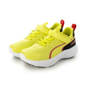 v[} PUMA 504 Xs[hX^[ V5 309935 iCG[n̑j