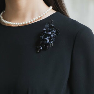 tHtH} form forma ԃRT[W/ƎEw iubNj