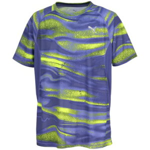 �v�[�} PUMA �v�[�} PUMA RUN VELOCITY AOP T �V���c �����Y 527297 �i46 BLUECRYSTAL�j