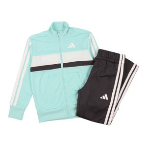 �A�f�B�_�X adidas �����Y �V�[�Y�i�� �G�b�Z���V�����Y Tiberio �X���[�X�g���C�v�X �g���R�b�g �g���b�N�X�[�c �L�b�Y JC9302 (�O���[��)