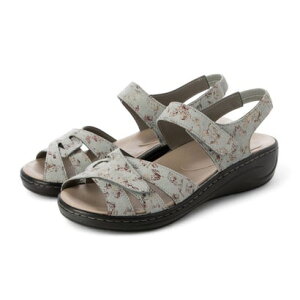 A[ AMORA OΉ{^jJRtH[gT_ iGY/j