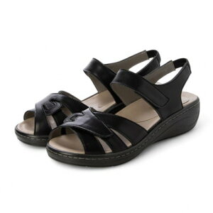 A[ AMORA OΉRtH[gT_ iBLj