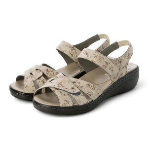 A[ AMORA OΉ{^jJRtH[gT_ iIV/j