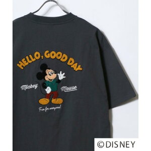 fBYj[ Disney w~bL[}EXxwxC}bNXxwgCEXg[[xwY[gsAx LN^[  TVc iubNn̑2j