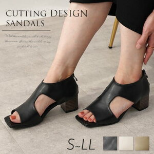 IuR Lirio blanco T_ XNGAgD 4.5cmq[ JbeBOfUC 25tĐV ubN ꂢ  `L[q[ [h C q[ u[cT_ ~hq