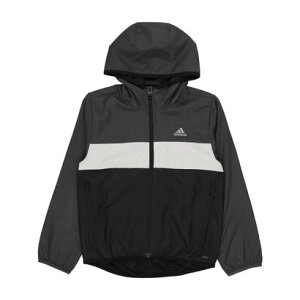 AfB_X adidas WjA EChWPbg WIND. RDY Tiberio EChu[J[ IX3303 iO[VbNX/O[/ubNj