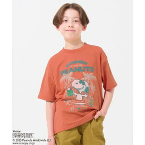 Nt C[ KRIFF MAYER Xk[s[vgT(N[\[_) iREDj