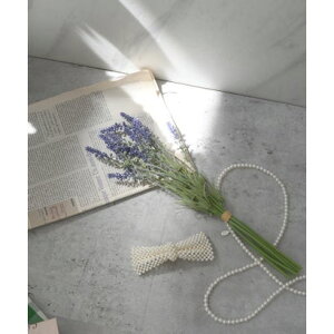 X^C styiro A[eBtBVt[ x_[u[P ԁip[vj