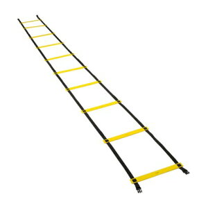 TbL[ Sunlucky g[jOp_[ AGL100 iCG[×ubNj