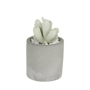 _g DULTON ALOE FRAGRANCE DIFFUSER yԕisiz iSPRING FLOWERj