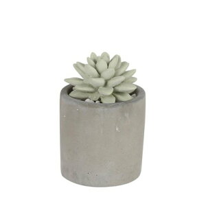 _g DULTON ALOE FRAGRANCE DIFFUSER yԕisiz iWATER LILYj