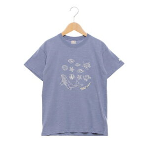 veB}C petit main yڐG⊴zChJTVc iu[j