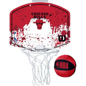 v[} PUMA EC\ Wilson oXPbg NBA TEAM ~jt[v VJSEuY WTBA1302CH ibhj