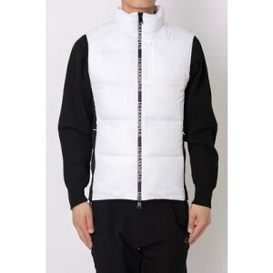 NXGCPCGvX LUXEAKMPLUS St TChStBbgȃxXg izCgj