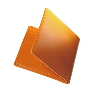 u[VVA BLUE SINCERE C^AU[ ܂J[hz / Aether - ACe[ -igLj