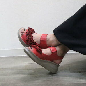 RExIAVX _˃IAVX y4ELz{vt[`[tT_ iREDj