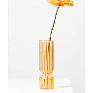 Gj[N emonique KX֑} t[x[X ԕr ȋ18j