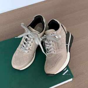 G`ebh enchanted LeBO[XAbvEFbWXj[J[ ix[Wj